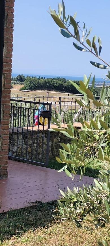Agriturismo Il Poggio Casale Marittimo Exteriér fotografie